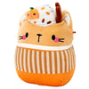 8" Cinda the Pumpkin Spice Cat Squishmallow