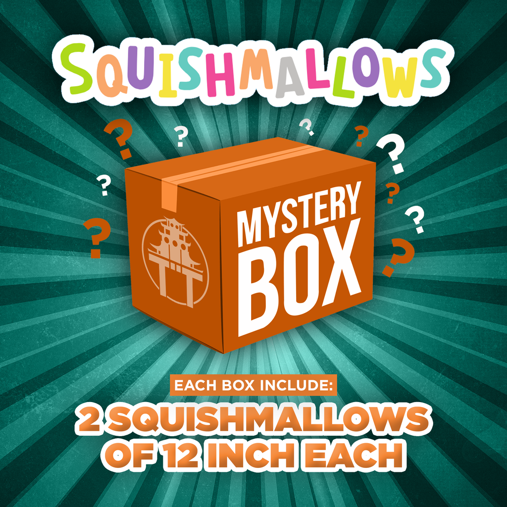 Squishmallow Mystery Box - 12" Squishmallows