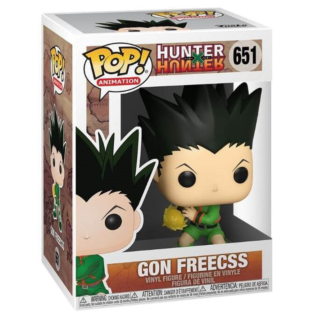 Gon Freecss (hunter X Hunter) Action Figure