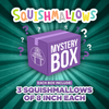 Squishmallow Mystery Box - 8" Squishmallows