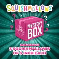 Squishmallow Mystery Box - 5" Squishmallows
